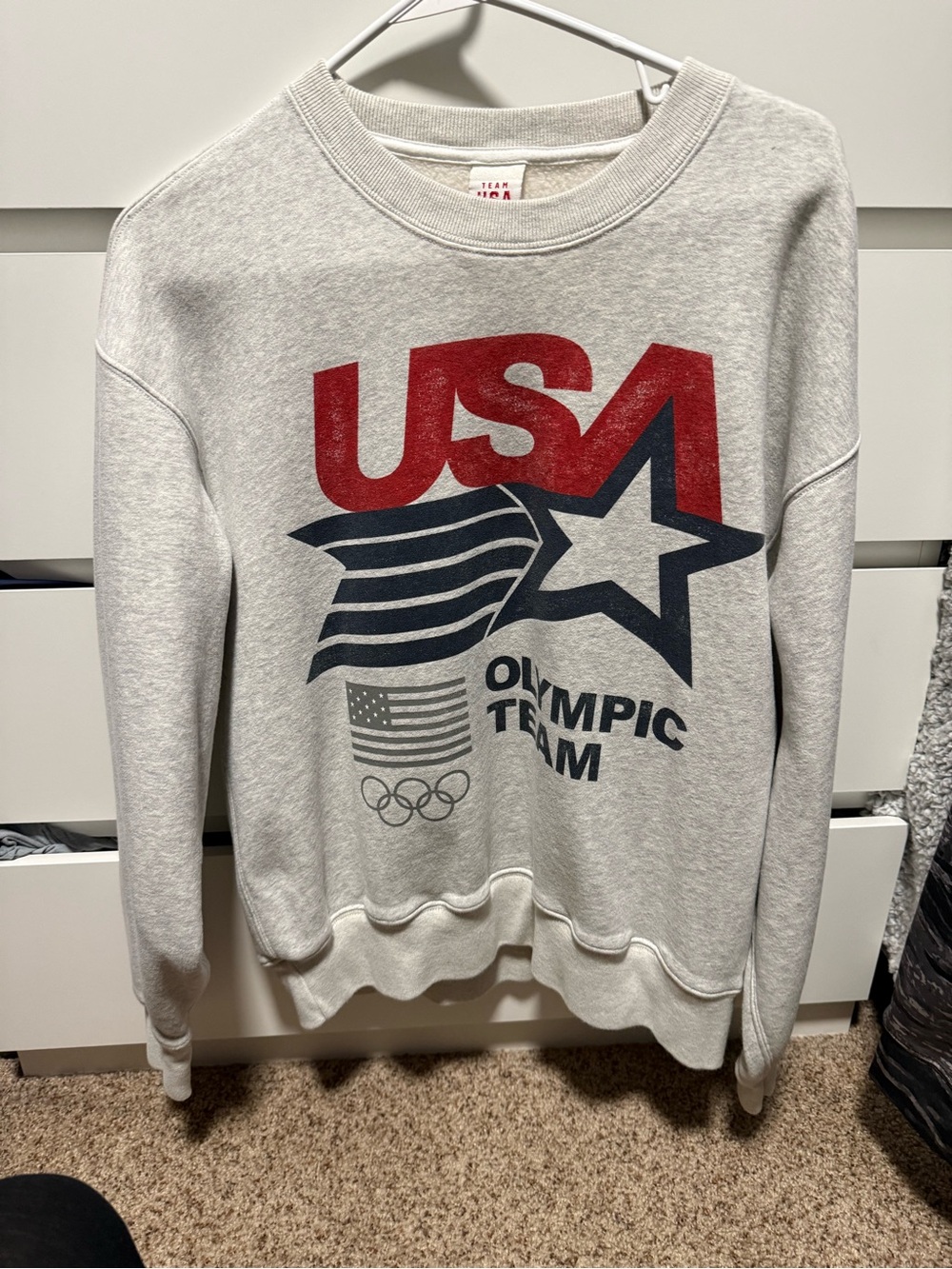 Abercrombie Team USA Gray Graphic Crewneck Sweatshirt - USA Olympic Team